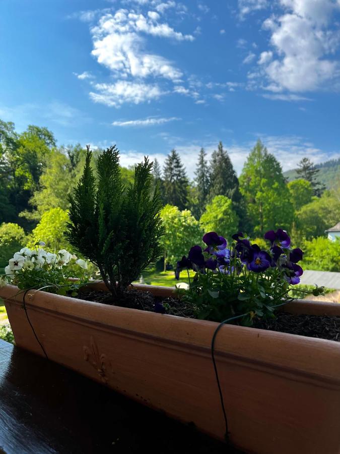 Park Villa Zentral Am Mittelrhein - Zimmer & Apartments 보파르트 외부 사진